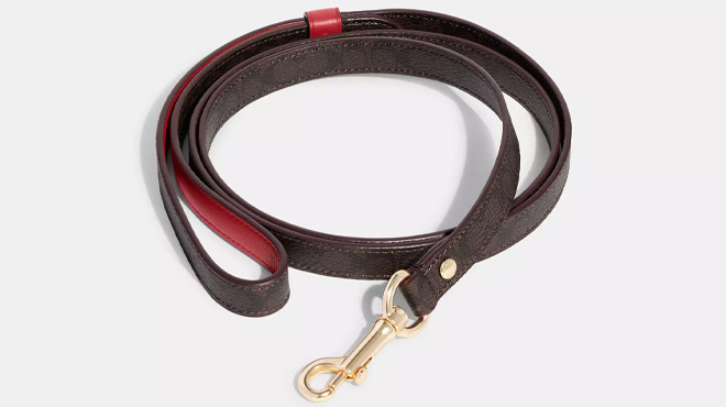 Coach Outlet Boxed Small Pet Leash In Signature Canvas