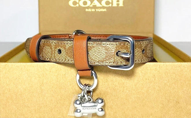 Coach Outlet Small Pet Collar