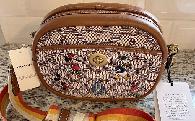 Disney X Coach Camera Bag In Signature Textile Jacquard With Mickey Mouse And Friends Embroidery on Kitchen Countertop Disney X Coach Camera Bag In Signature Textile Jacquard With Mickey Mouse And Friends Embroidery on Kitchen Countertop
