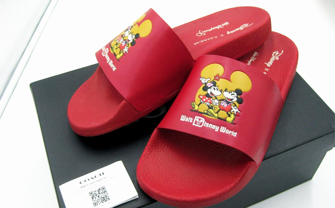 Disney x Coach Sport Slides with Mickey Minnie Mouse Motif on a Shoebox