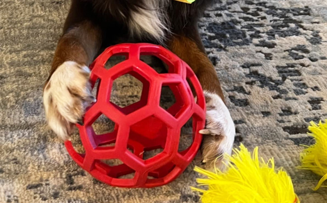Dog Fetch Treat Dispenser Puzzle Large Ball