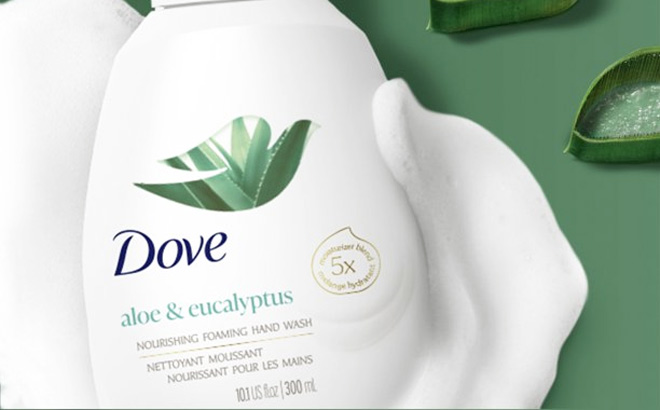 Dove Beauty Care Hand Wash