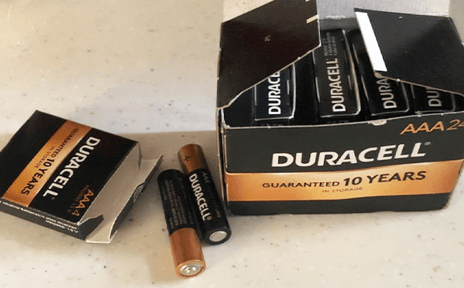 Duracell AAA Standard Batteries 24 Count