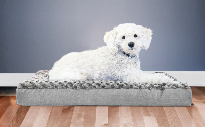 Ernie Ortho Pet Bed Pillow