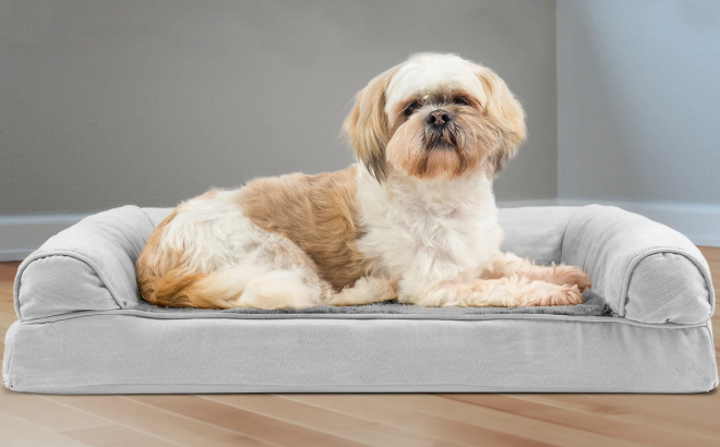 Estella Orthopedic Sofa Dog Bed Medium