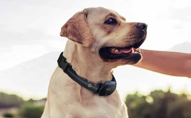 Eufy Training Dog Collar