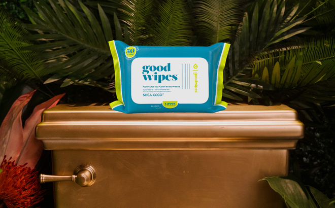 Goodwipes Flushable Wipes 50 Count