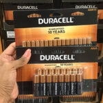 Hand Holding Duracell AAA Batteries 16 Count
