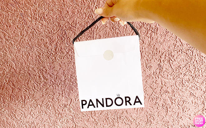 Hand Holding Pandora Jewelry Bag