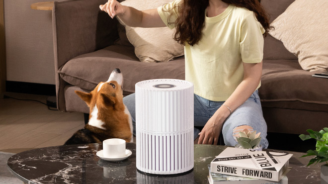 Hepa Air Purifier for Home 1
