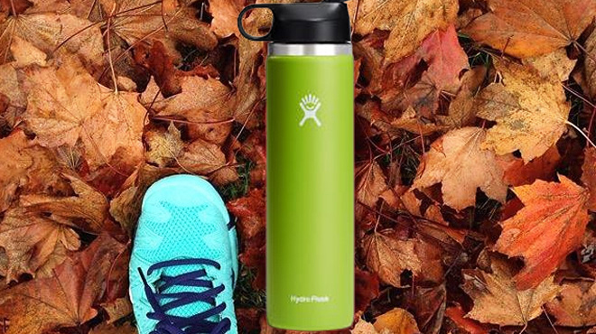 Hydro Flask 24 Ounce Bottle on a Dried Leaves 1
