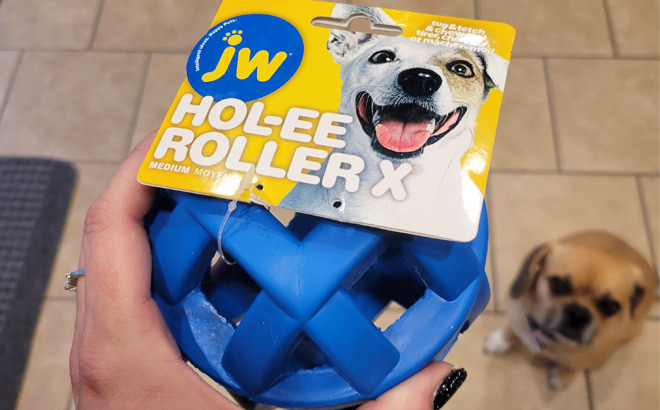 JW Hol ee Roller Dog Fetch Treat Dispenser Puzzle Ball