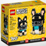 LEGO French Bulldog Box