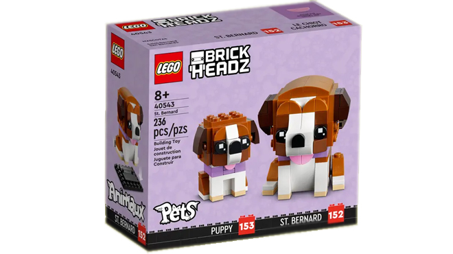 LEGO Pets St Bernard Box
