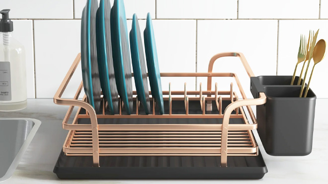 Metal Dish Rack with Plates and Utensils Holder