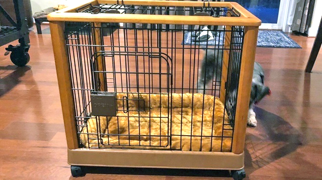 Midwest Bolster 22 Inch Pet Bed in pet cage