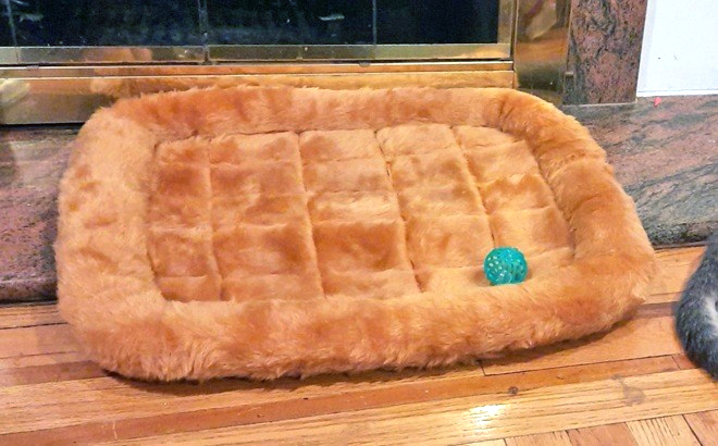 Midwest Bolster 22 Inch Pet Bed