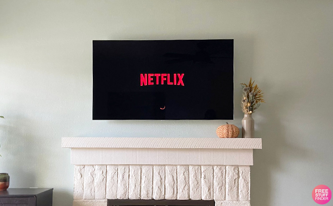 Netflix Logo on a TV on a Wall