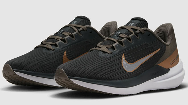 Nike Air WinFlo 9 Womens Shoes