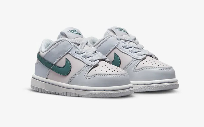 Nike Toddlers Dunk Low Shoes