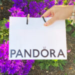 Pandora Paper Bag