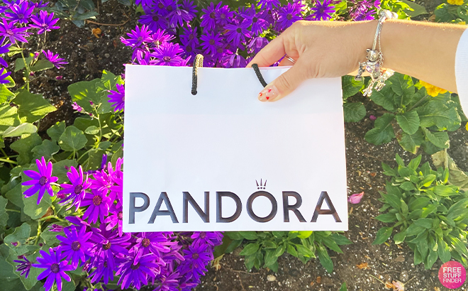 Pandora Paper Bag