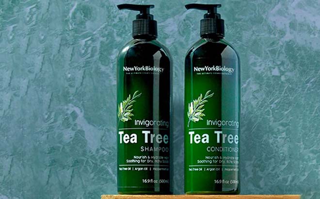 Paul Mitchel Tea Tree Shampoo Conditioner Set