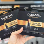 Person Holding Duracell AA And AAA Batteries