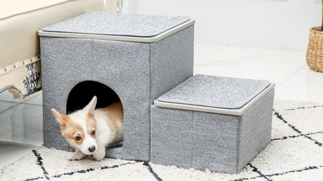 Pet Stairs with Storage Pet Stairs with Storage