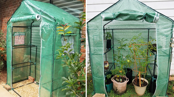 Side View of Empty Greenhouse on the Left and Front View of the Same Greenhouse With Plants on the Right