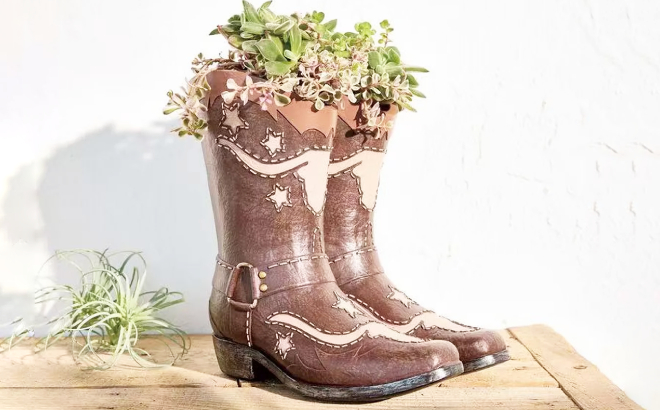 Sonoma Goods for Life Cowboy Boots Planter