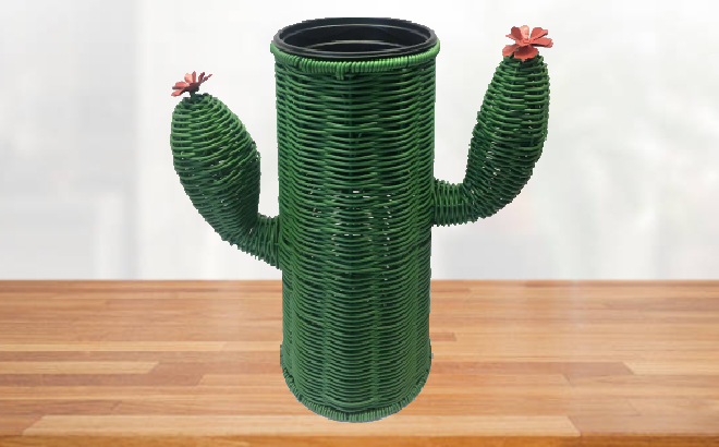 Sonoma Goods for Life Wicker Cactus Planter
