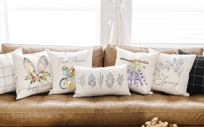 Spring Pillow Covers 1