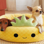 Squishmallows 20 Inch Maui Pineapple Pet Bed Small