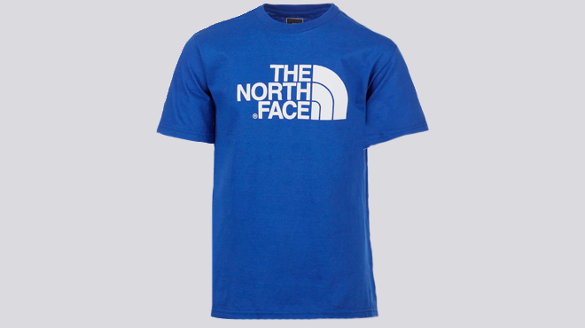 The North Face Boys Surprise Tee in blue color