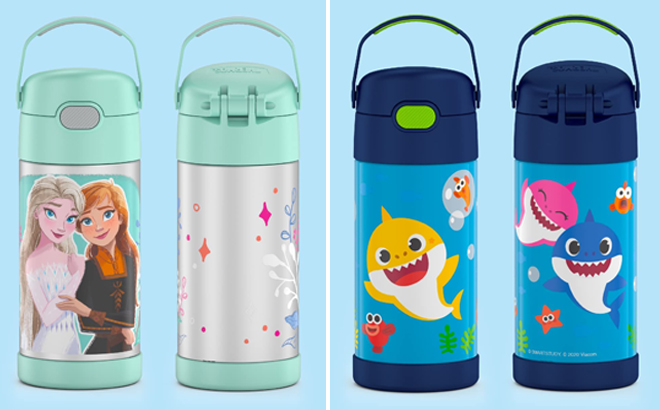 Thermos Funtainer Disney Frozen 2 12 Ounce Stainless Steel Vacuum Insulated Kids Straw Bottle