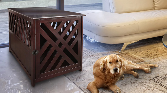 Wooden Pet Crate Table