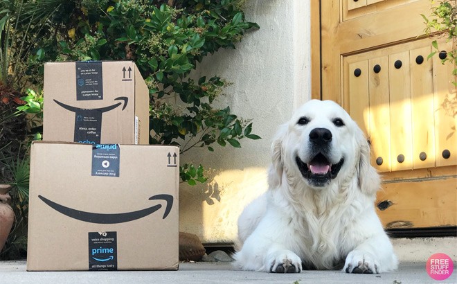 Amazon Pet Day Sale