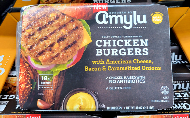 Amylu Charbroiled Fully Cooked Chicken Burgers 10 Pack