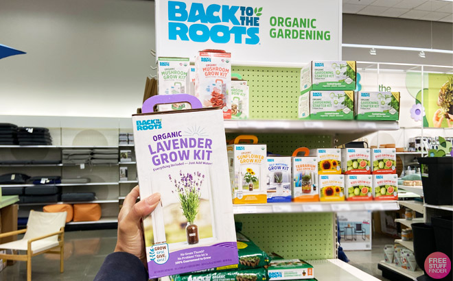 Back to the Roots Organic Lavender Windowsill Grow Kit