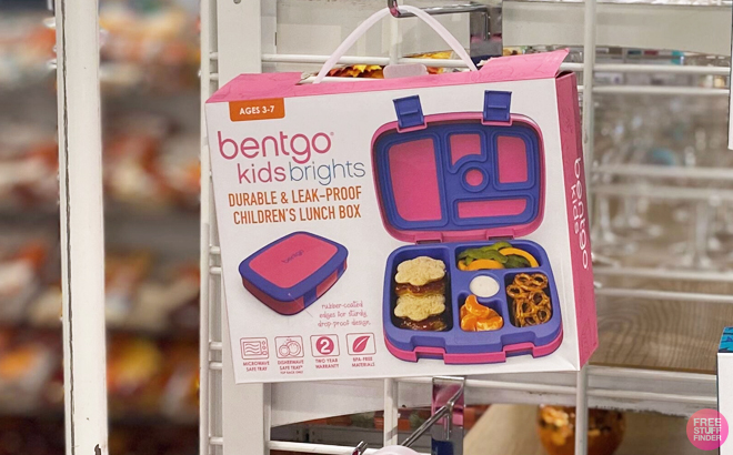 Bento Kids Brights 5 Compartment Lunch Box in Fuscia Color