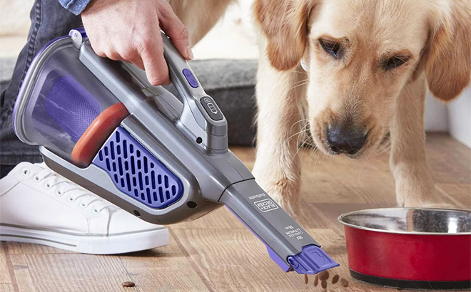 Black and Decker Cordless Handheld Vacuum with Dog