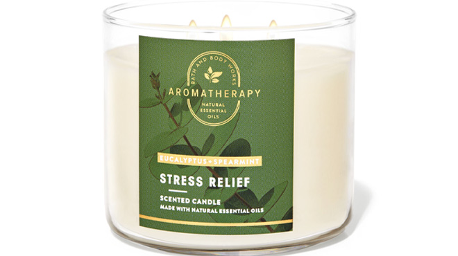 Body Works Spearmint 3 Wick Candle