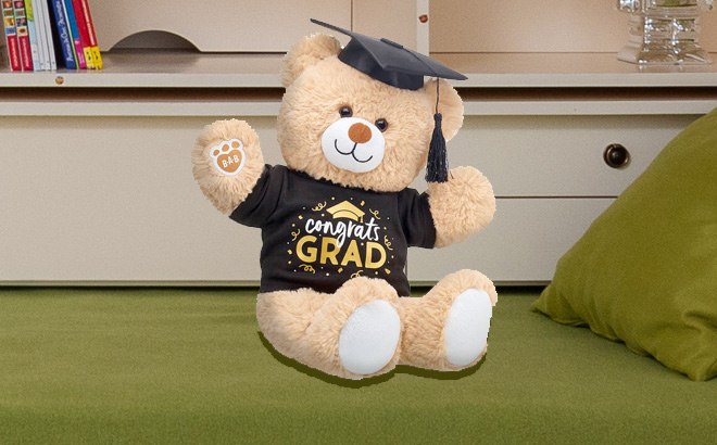 Build a bear Online Exclusive Cuddly Brown Bear Congrats Grad Gift Set