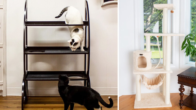 Bunnell Jungle Gym Cat Tree and Real Wood Cat Furniture