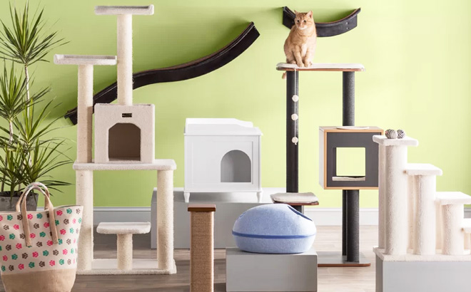 Cat Trees