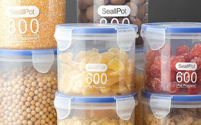 Clear Food Storage in Small Size