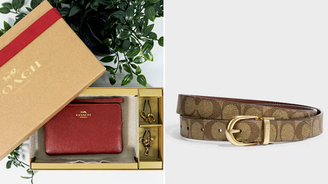 Coach Boxed Corner Zip Wristlet and Coach Outlet Classic Buckle Cut To Size Belt Coach Boxed Corner Zip Wristlet and Coach Outlet Classic Buckle Cut To Size Belt