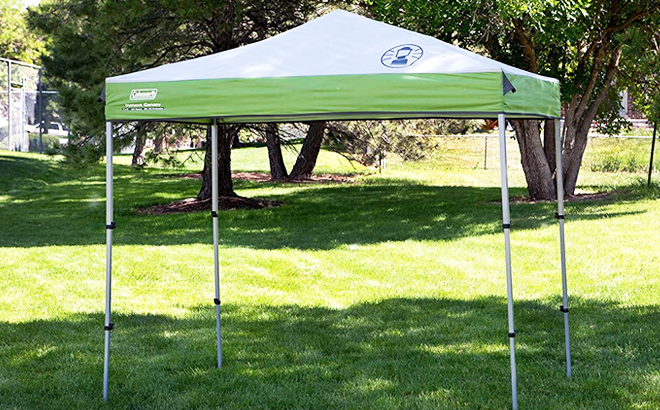 Coleman 10x10 Instant Canopy in Green Color on a Park Coleman 10x10 Instant Canopy in Green Color on a Park