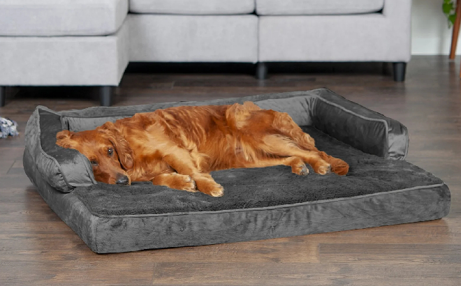 Comfy Couch Sofa Style Pet Bed